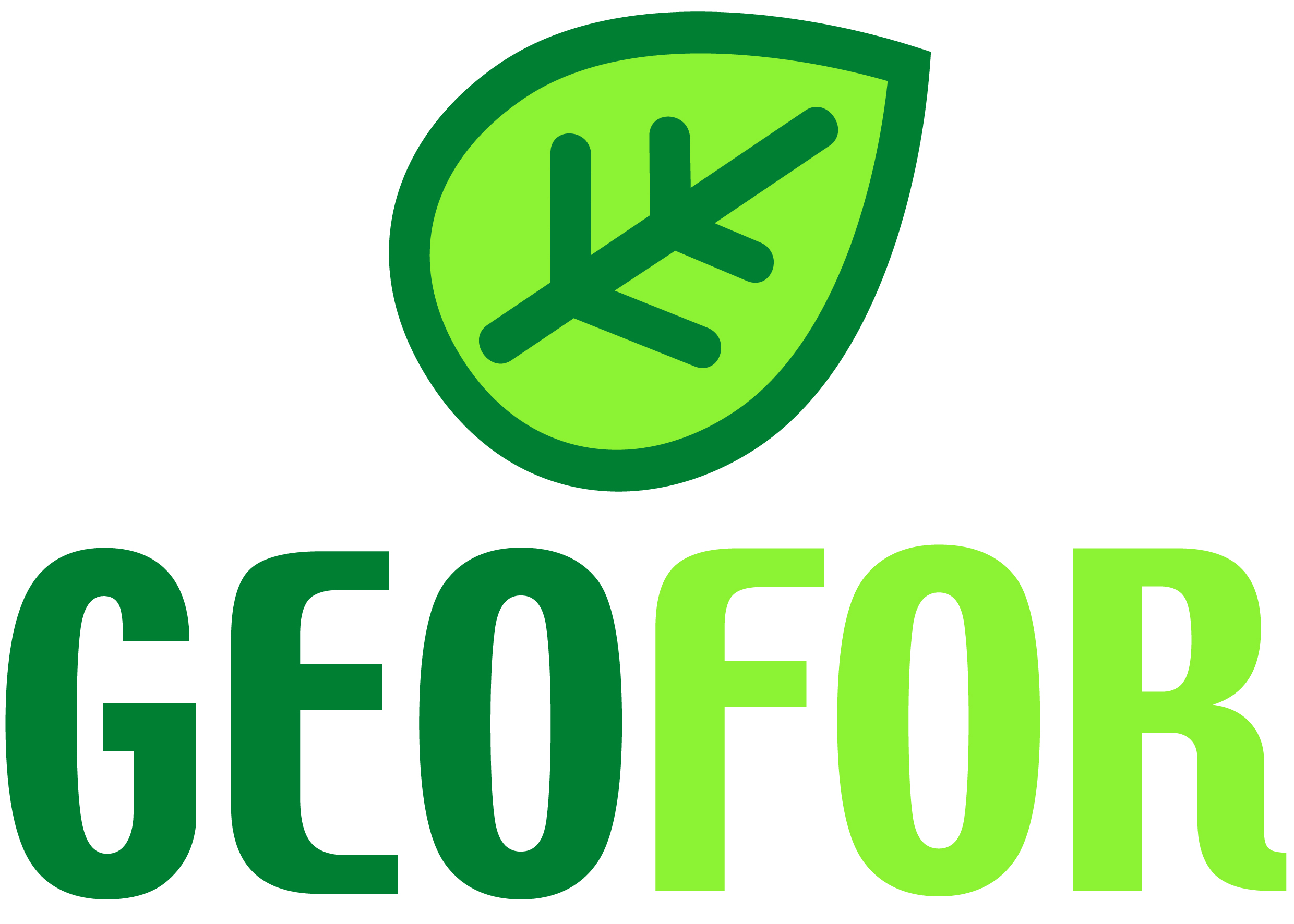Geofor Geofor