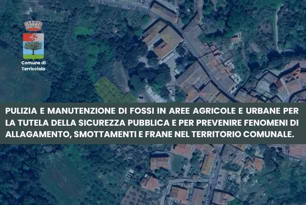 pulizia e manutenzione